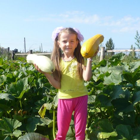 4. Вот такой мой урожай!!!
Полина Потапкина, 6 лет, с. Алексеевка.
Автор И.А. Ткачёва.